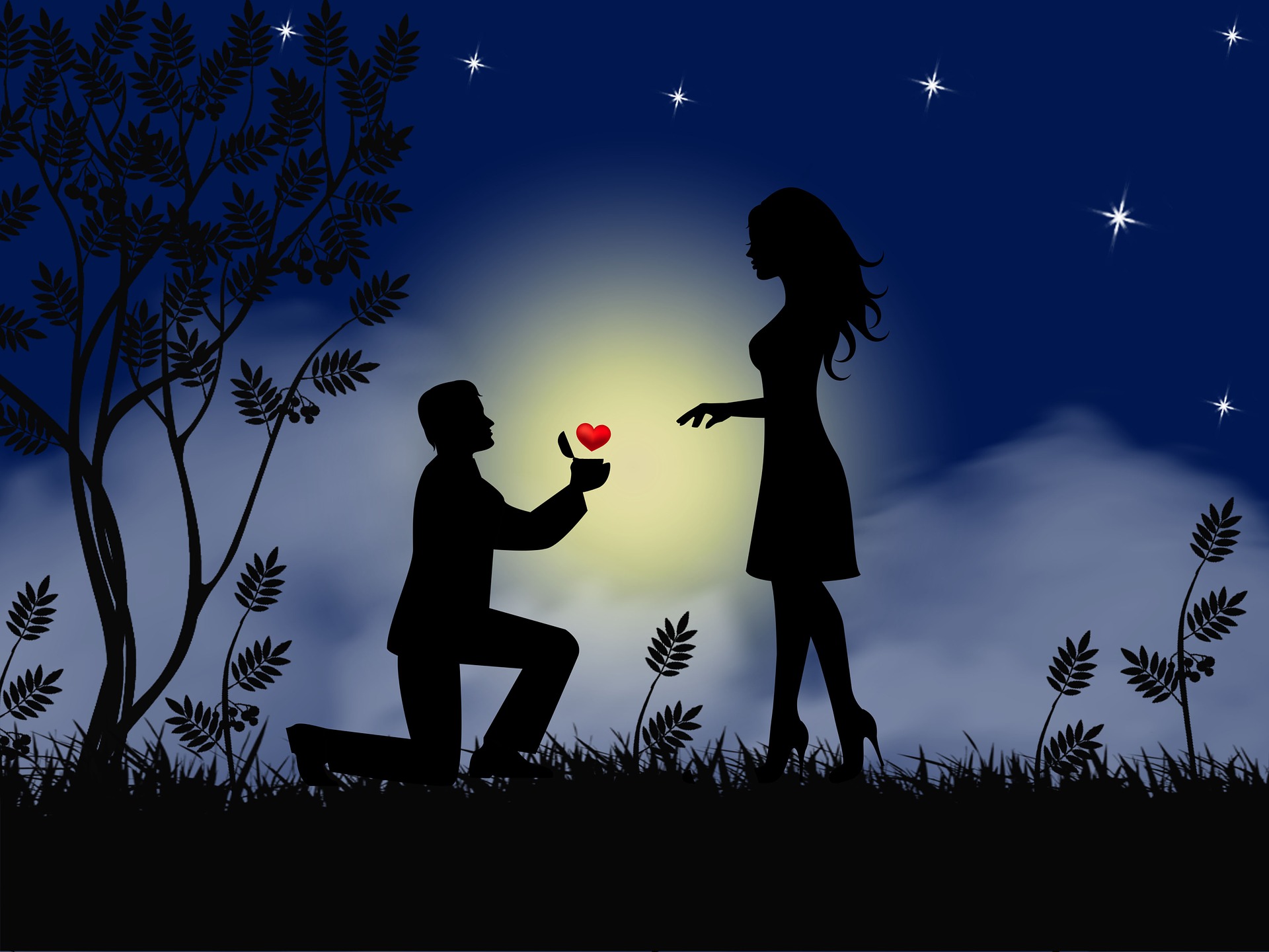 Na obrázku žádá muž ženu o ruku pod noční oblohou.