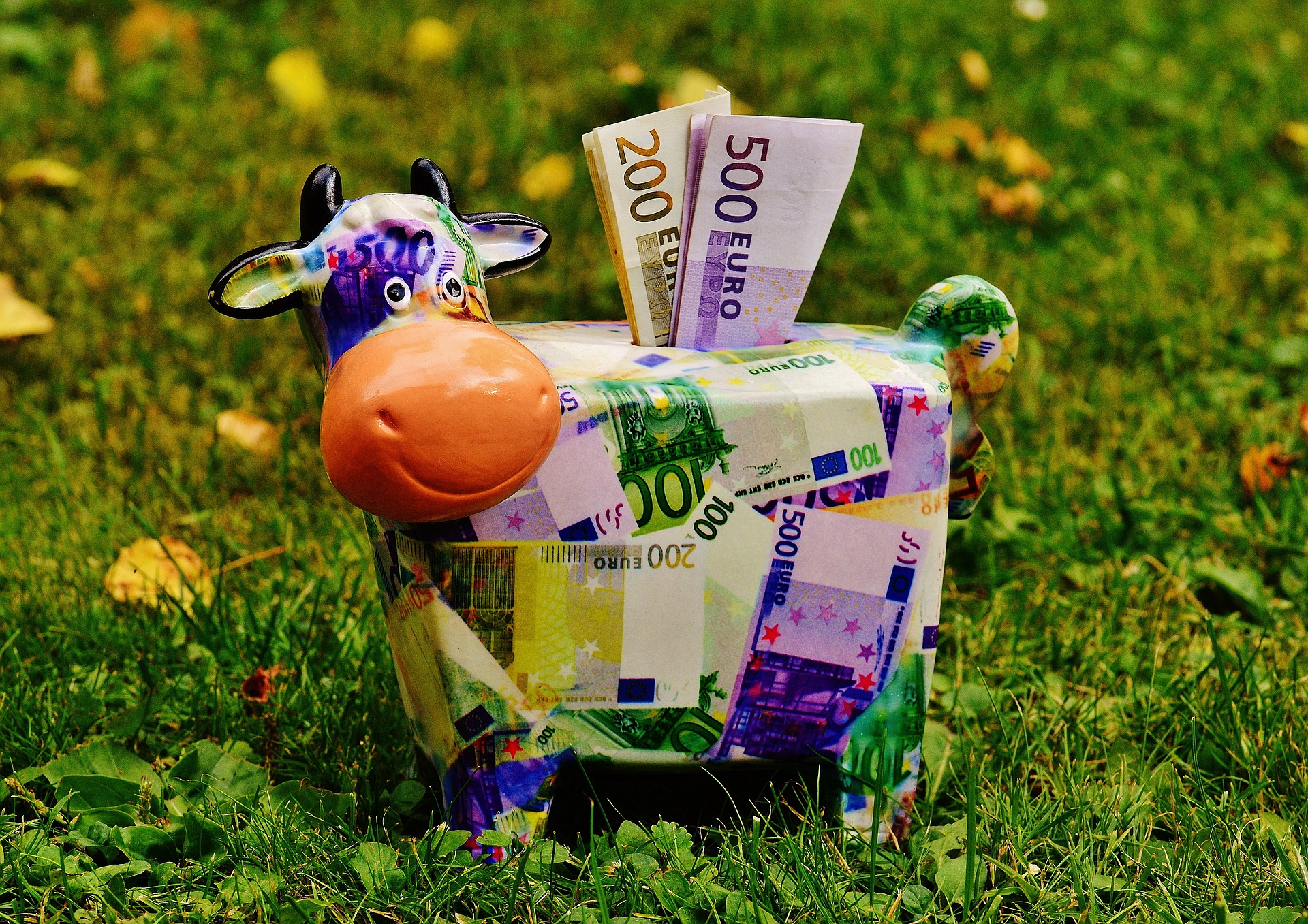 Na obrázku je kasička ve tvaru krávy, ze které koukají papírové bankovky